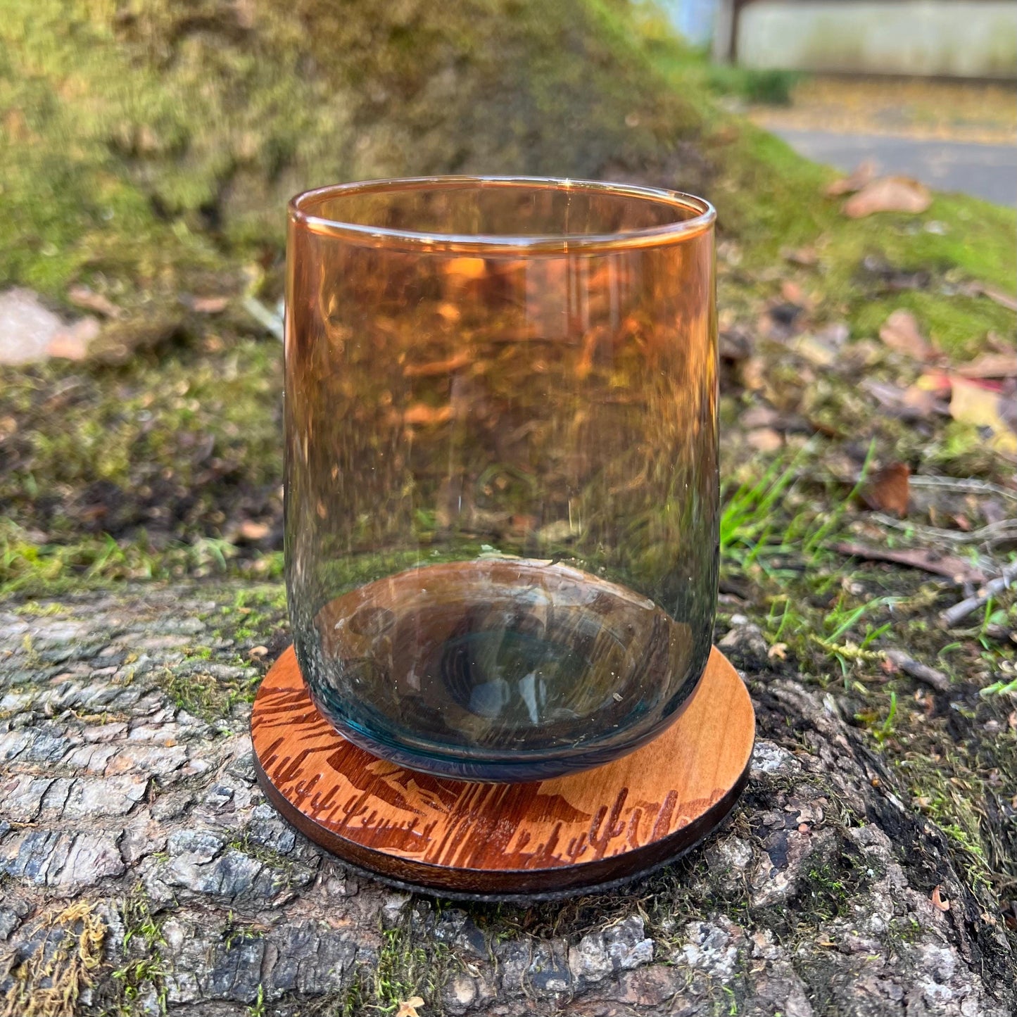 Cactus Coasters: Desert Decor