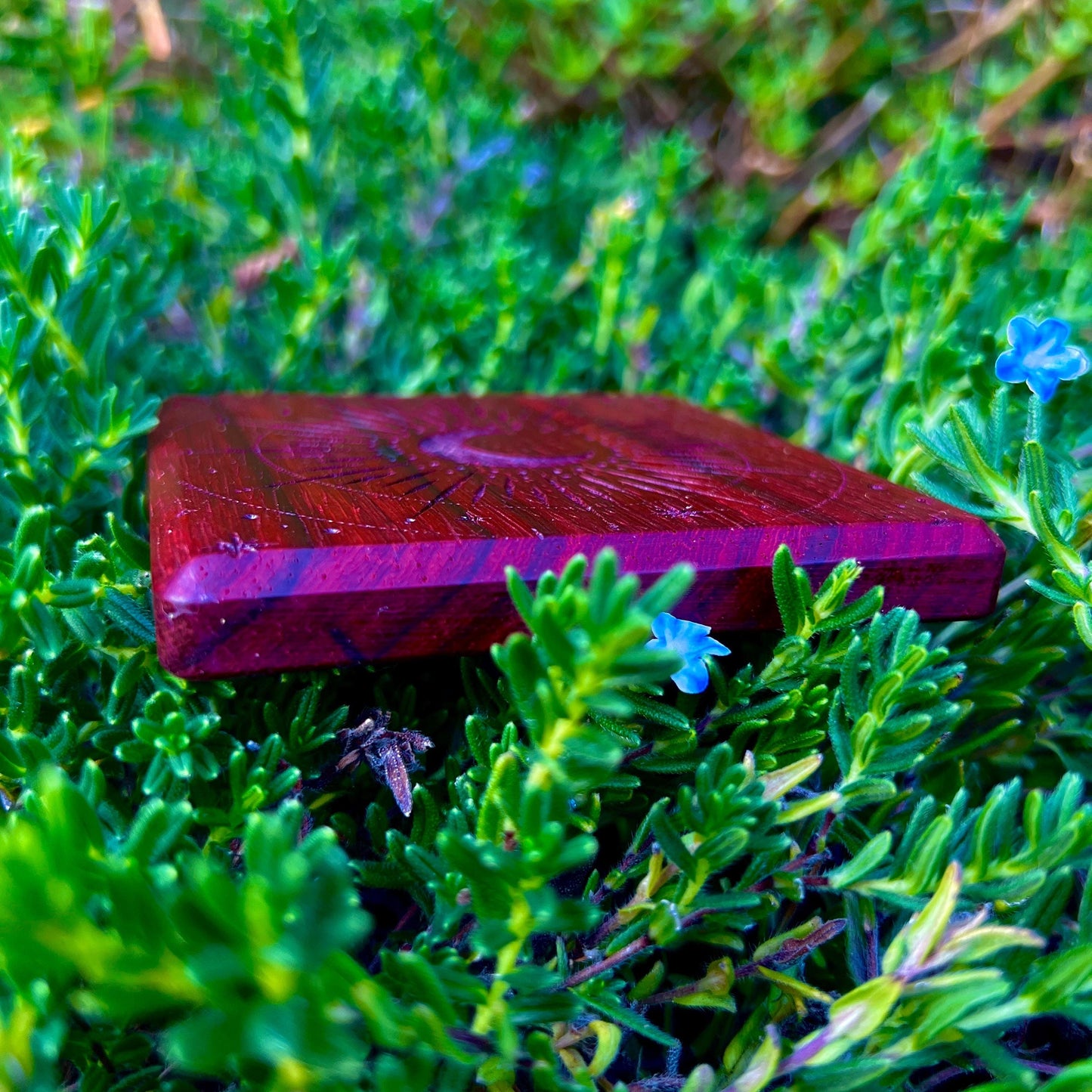 Moonlight Touch Up Mirror