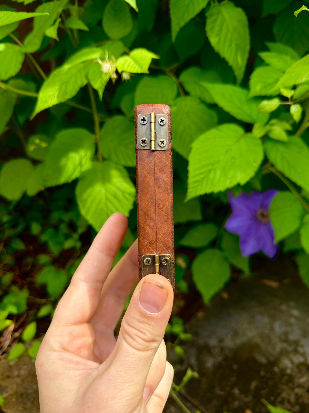 Sakura Sapele Wood Stash Case