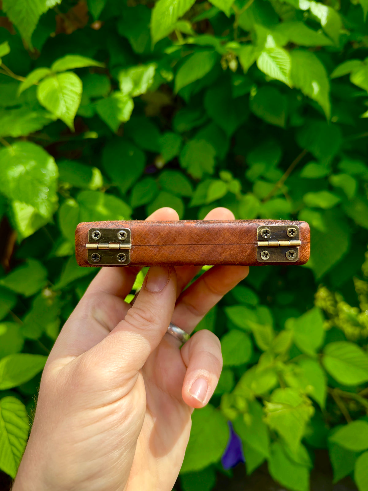 Sakura Sapele Wood Stash Case