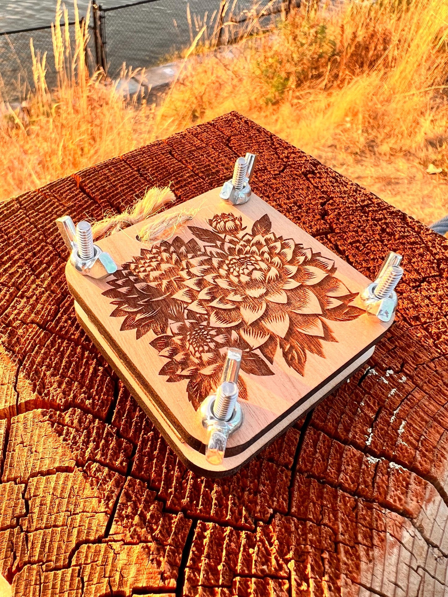 Pocket Press - Chrysanthemum