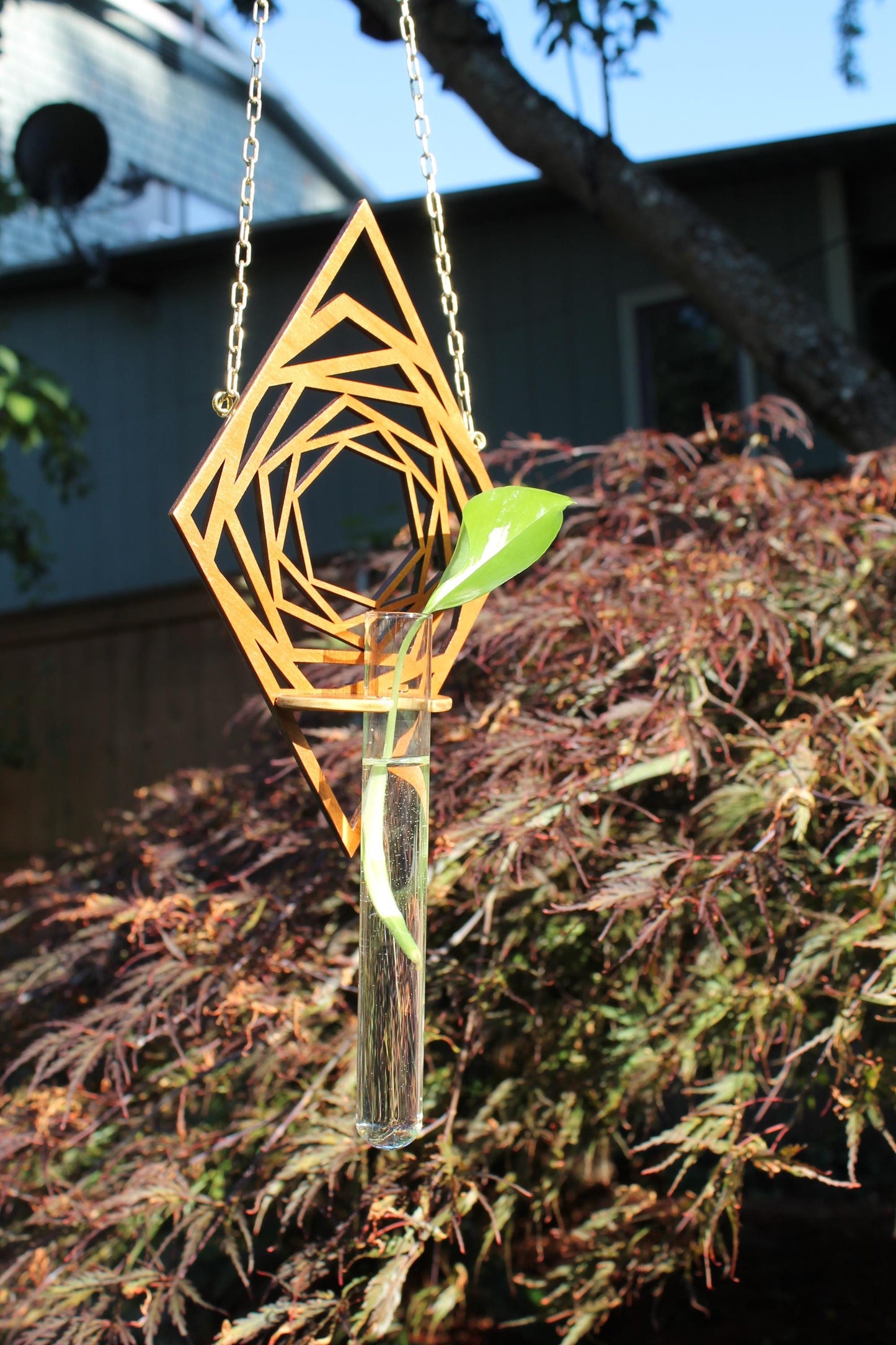 Hanging Propagation Planter