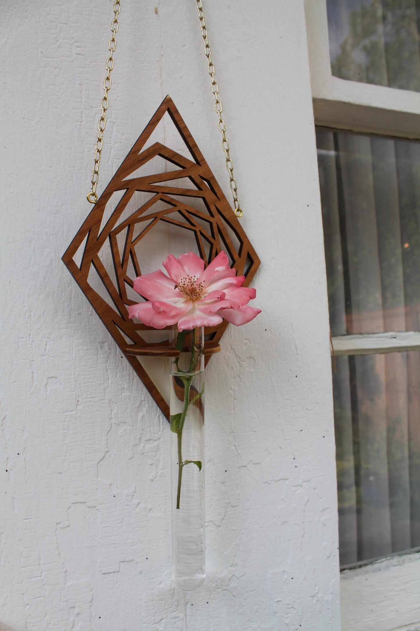 Hanging Propagation Planter