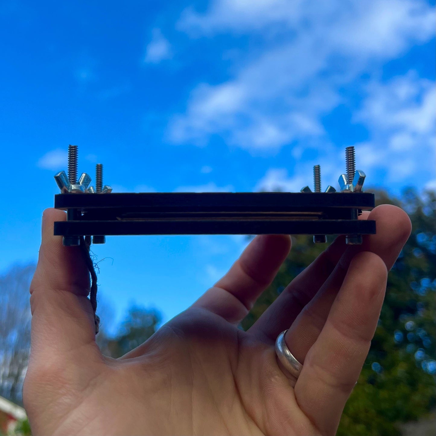 Standard Press - Trellis
