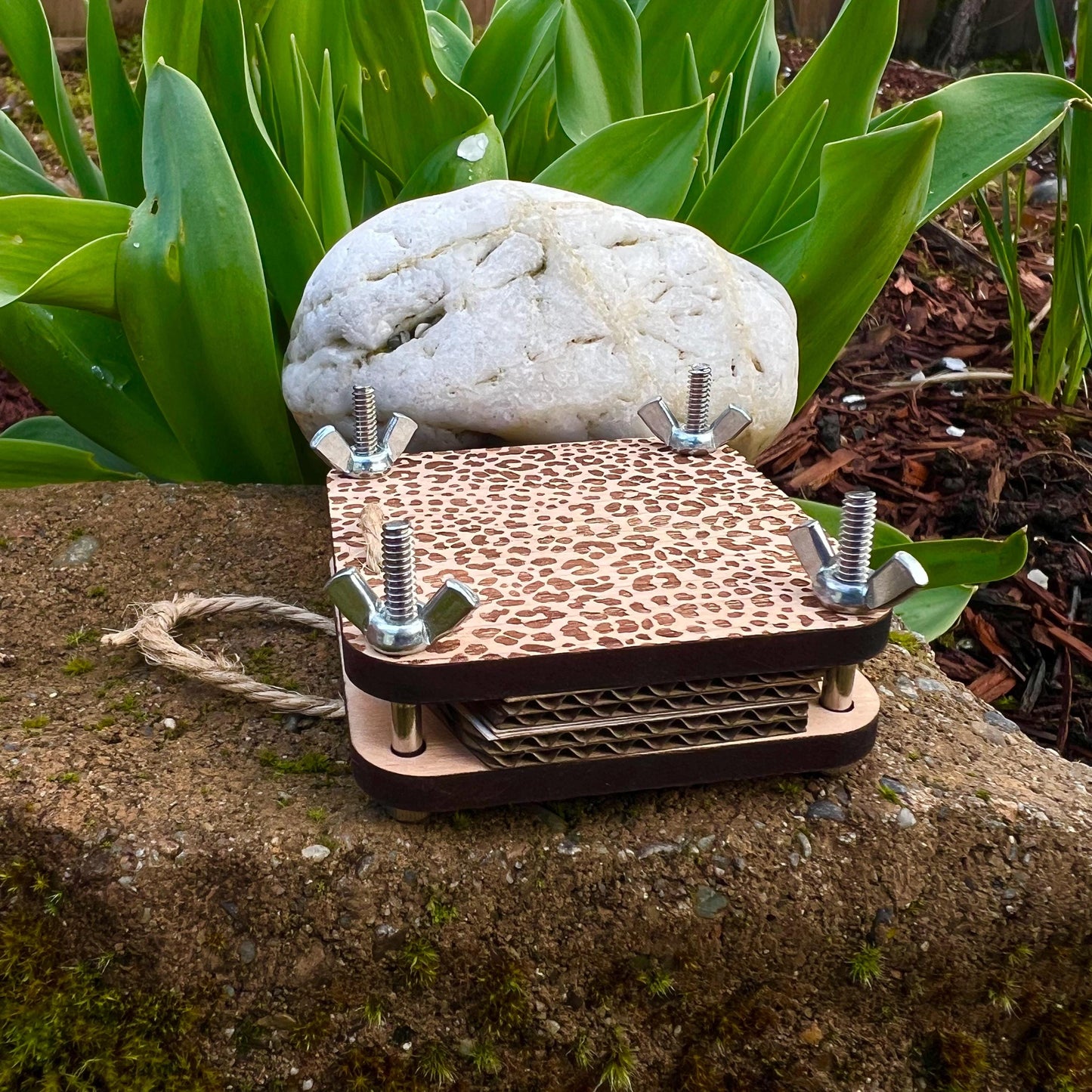 Pocket Press - Leopard