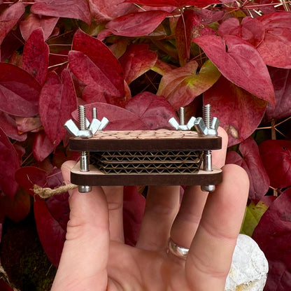Pocket Press - Groovy Bloom