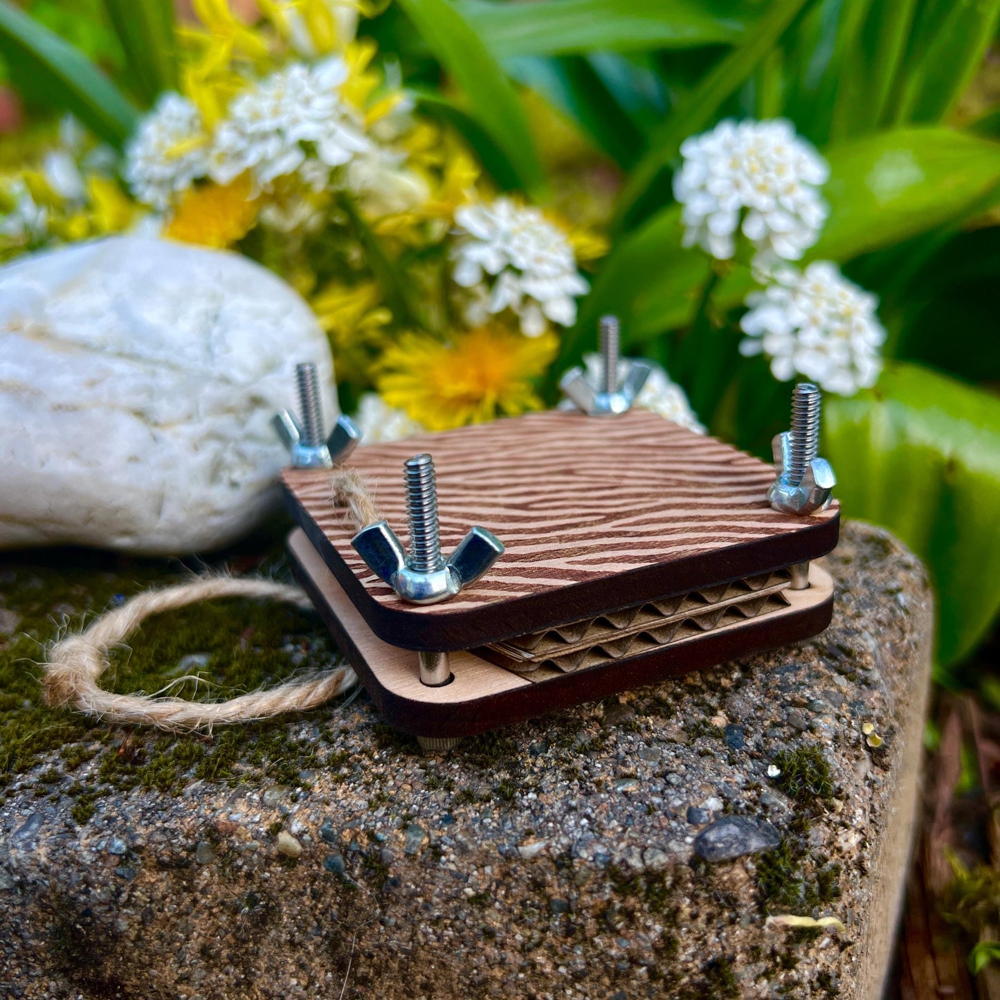 Pocket Press - Zebra