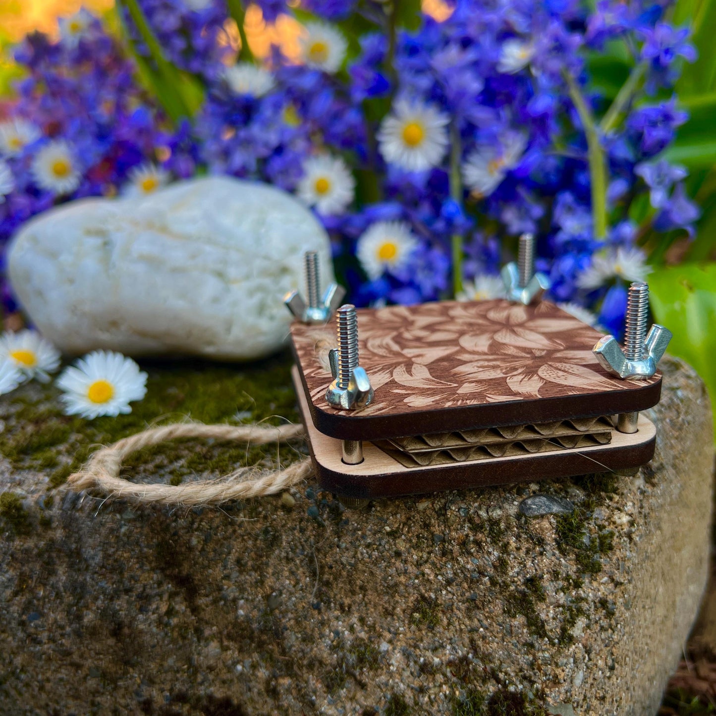 Pocket Press - Lily