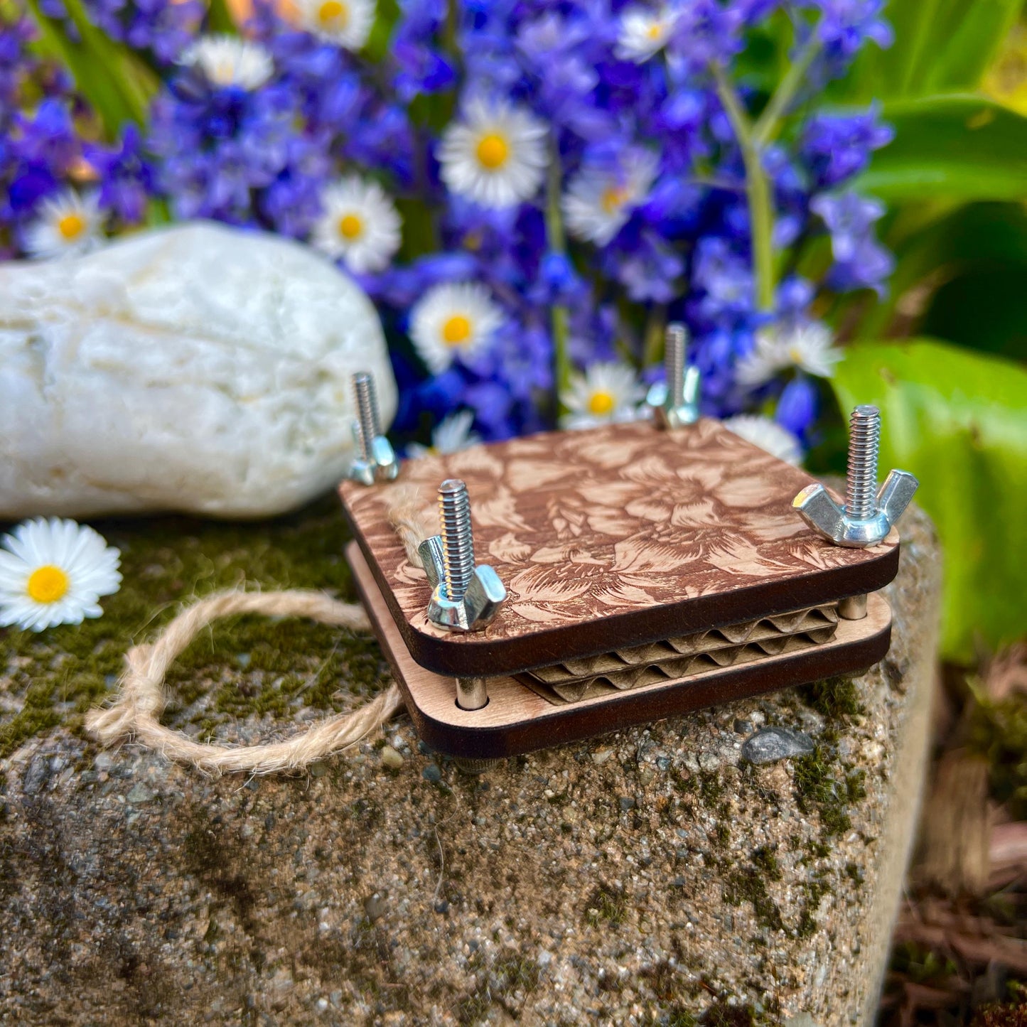 Pocket Press The Tiger Lily