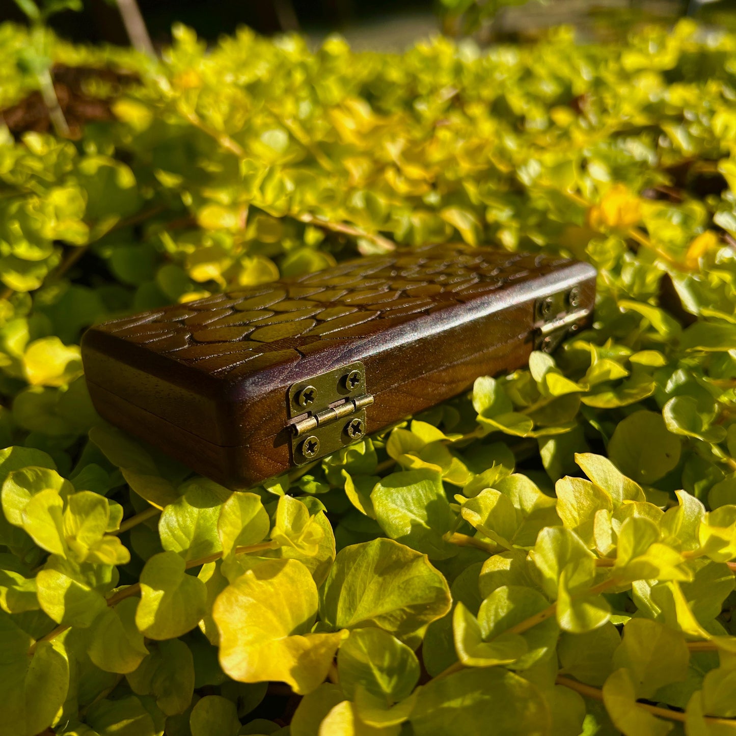 Walnut Stash Case