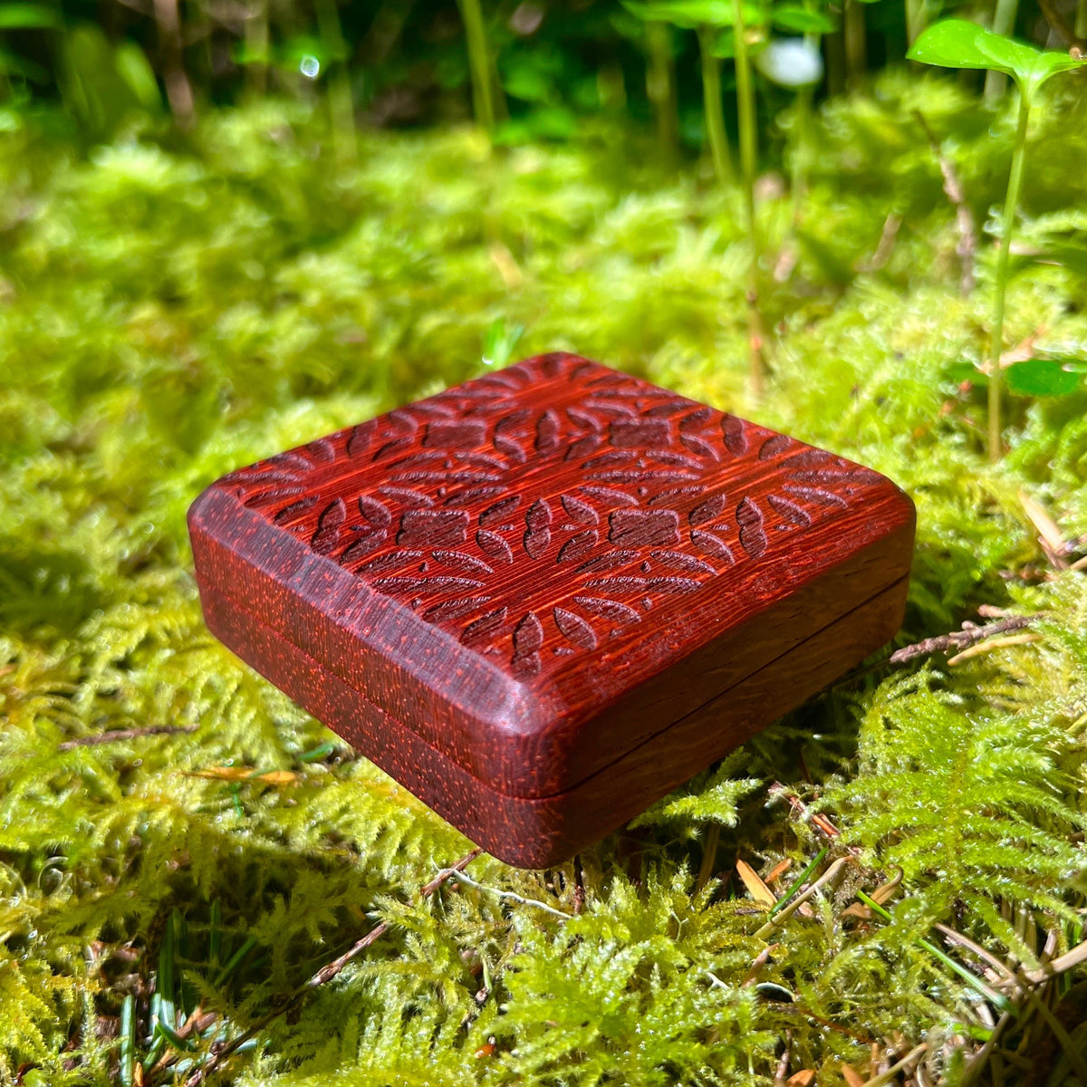 Padauk Pocket Box