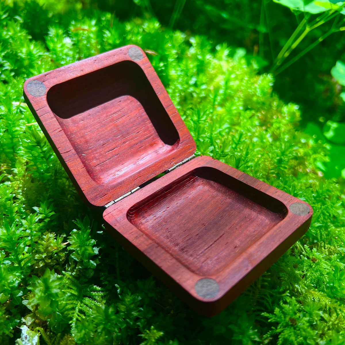 Padauk Pocket Box