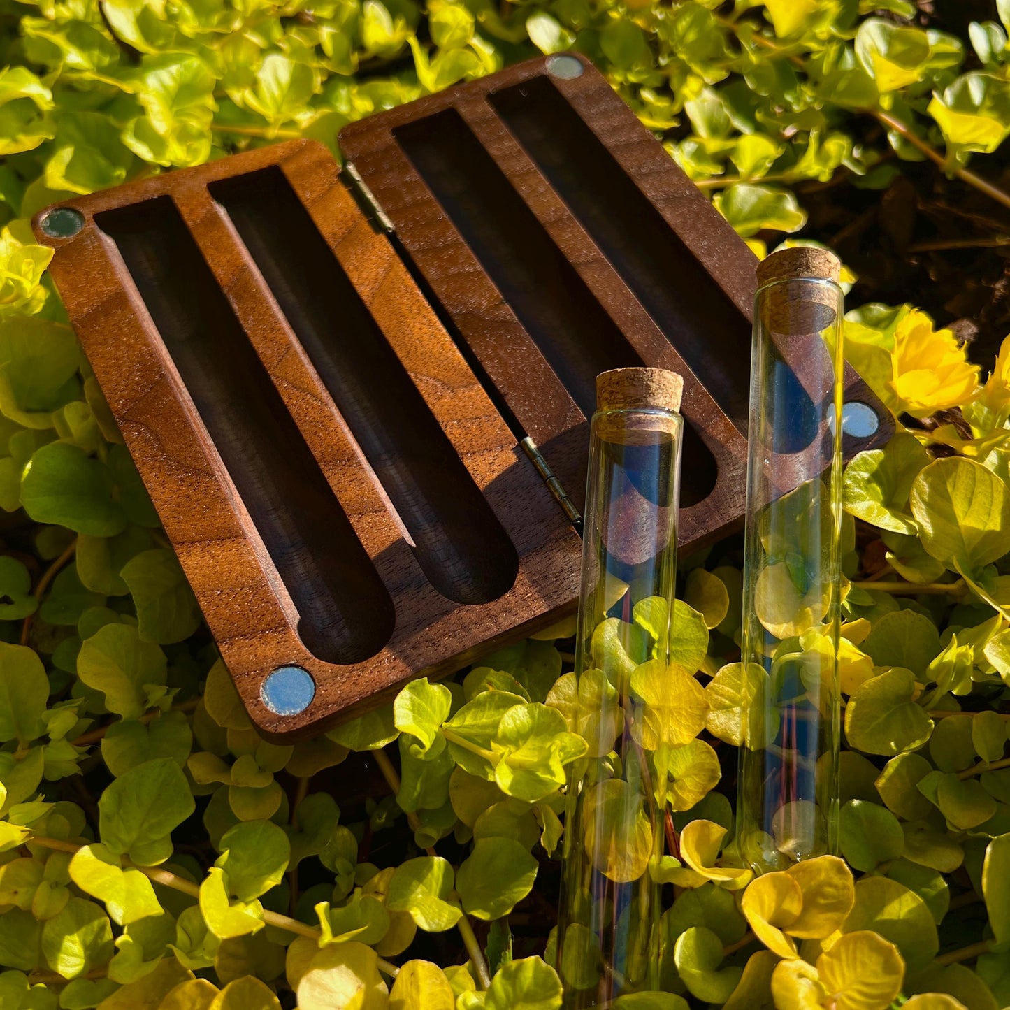 Walnut Stash Case