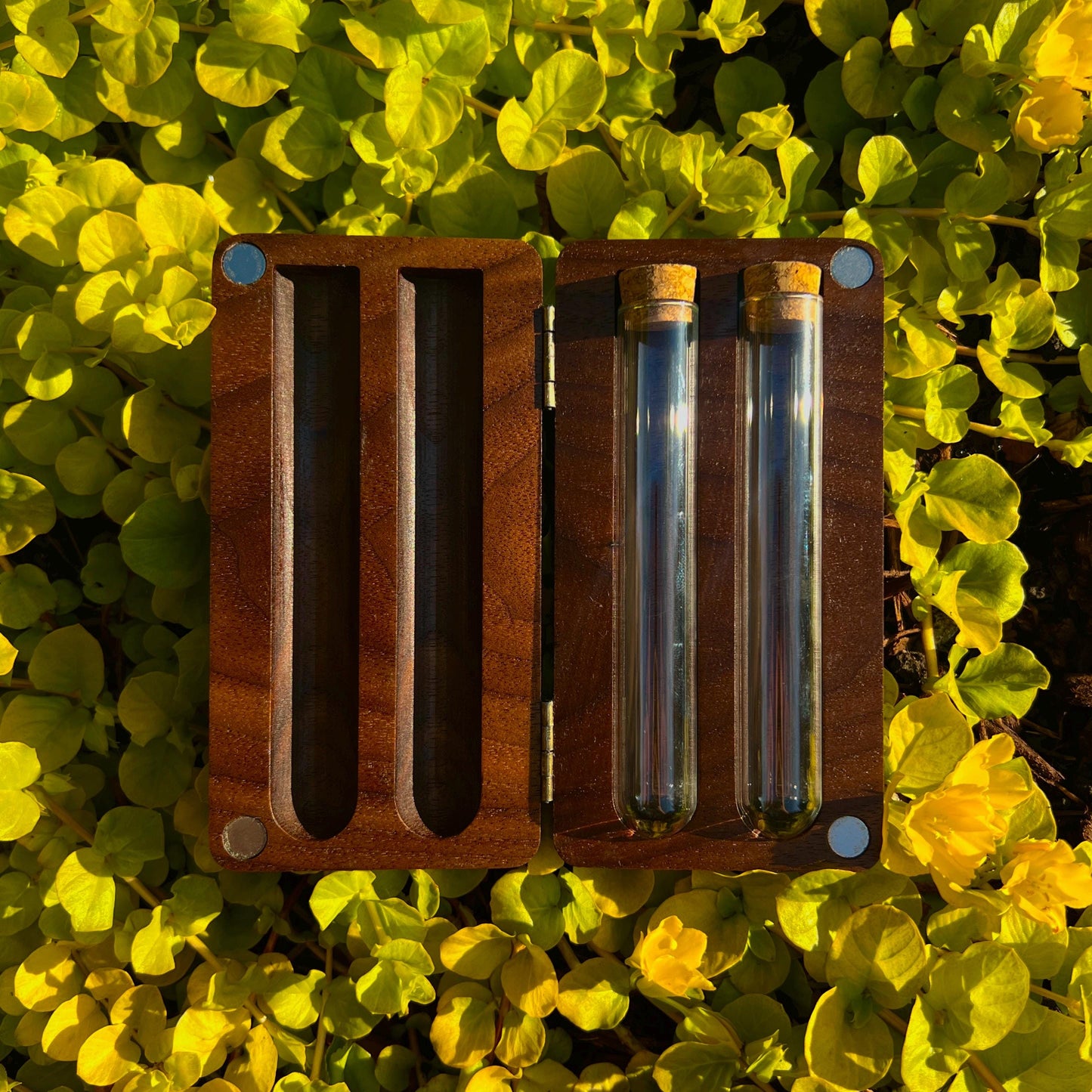 Walnut Stash Case